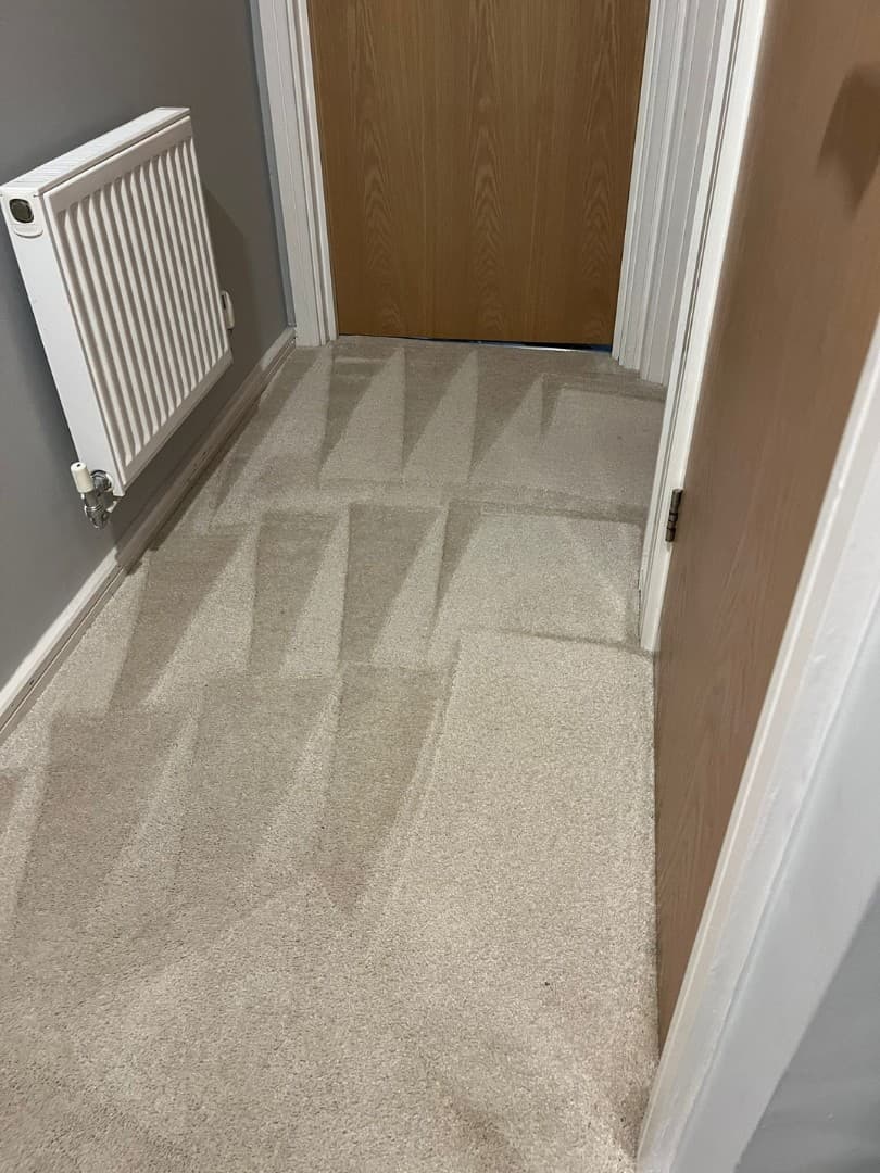 Carpet deep clean