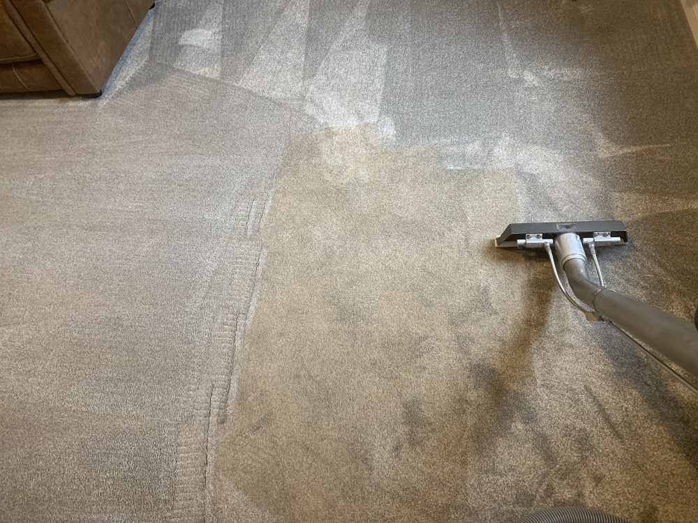 Professional commercial carpet cleaning in progress using industrial extraction equipment